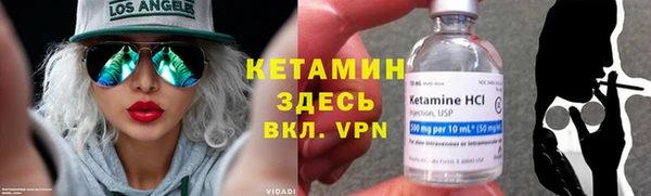 молекула духа Ельня