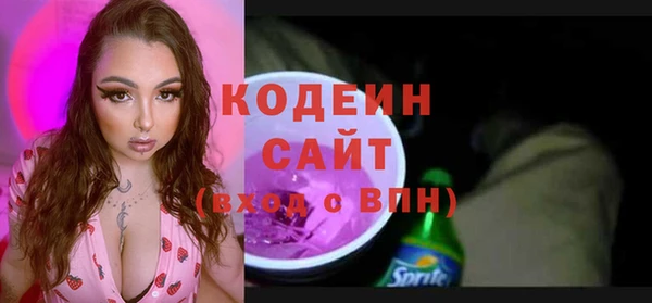 молекула духа Ельня