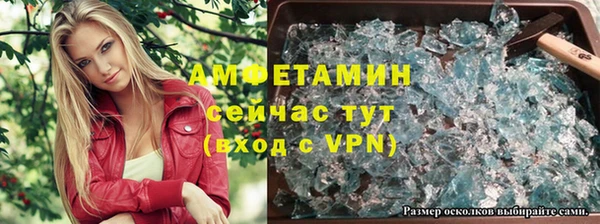 молекула духа Ельня
