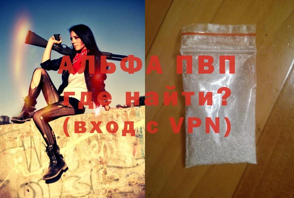 молекула духа Ельня