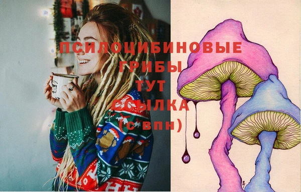 стафф Елабуга
