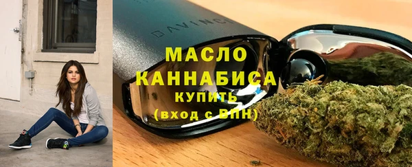 молекула духа Ельня