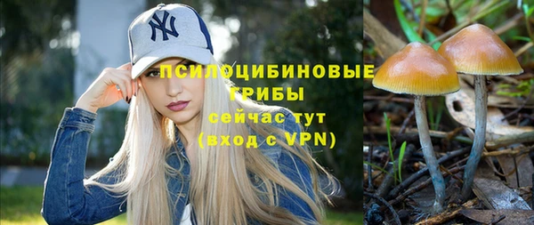 молекула духа Ельня