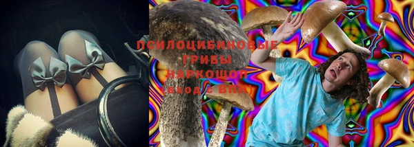 стафф Елабуга