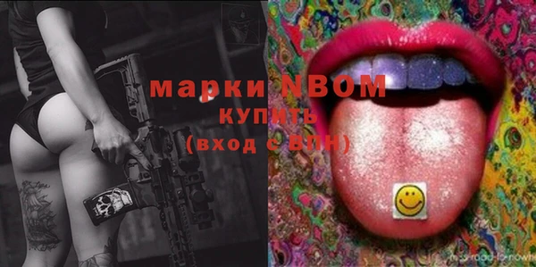молекула духа Ельня