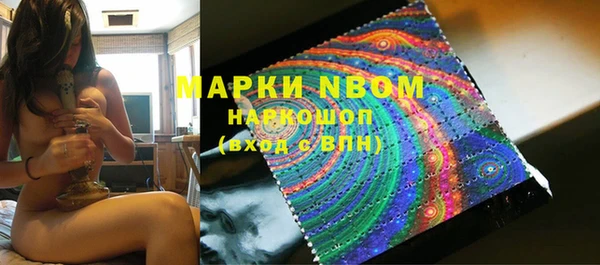 молекула духа Ельня
