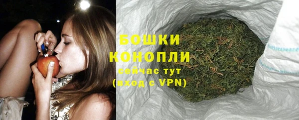 стафф Елабуга