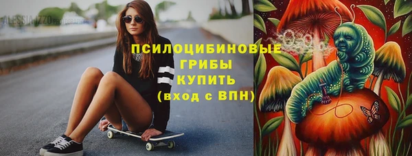 молекула духа Ельня